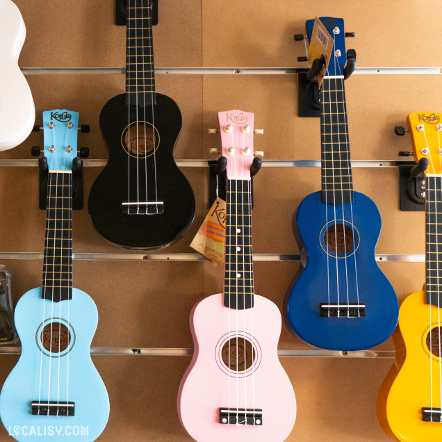 Photo de l'intérieur du commerce d'instruments de musiques - Liège Music Center avec des ukulélé de couleurs au mur