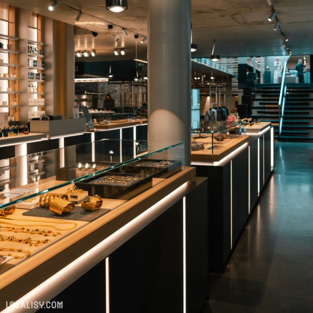 L’intérieur du magasin “Irina Khä” à Liège avec un design est moderne et élégant, une palette de couleurs sombres mise en valeur par un éclairage chaleureux. L’agencement comprend plusieurs vitrines disposées de manière ordonnée, exposant divers articles, probablement des bijoux ou des accessoires.