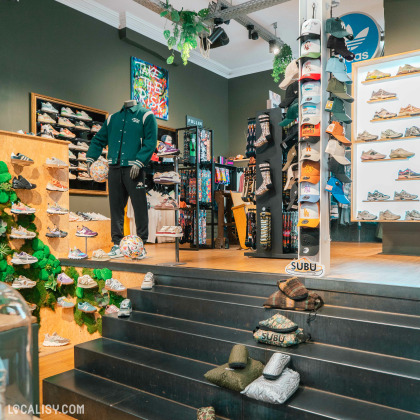 L’intérieur du magasin “Lace-Up” à Liège, avec une variété de sneakers exposées sur des étagères murales et des présentoirs. Un logo Adidas est visible, et le magasin a une esthétique moderne avec des plantes suspendues au plafond.