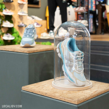 Une sneaker sous une cloche transparente sur un piédestal en bois à l’intérieur du magasin “Lace-Up” à Liège. En arrière-plan, d’autres sneakers sont exposées.