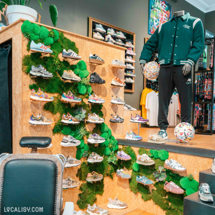 L’intérieur du magasin “Lace-Up” à Liège, avec une variété de sneakers exposées sur des étagères murales décorées de plantes vertes. Un mannequin vêtu d’une veste verte et d’un pantalon est placé à côté de l’exposition de chaussures.