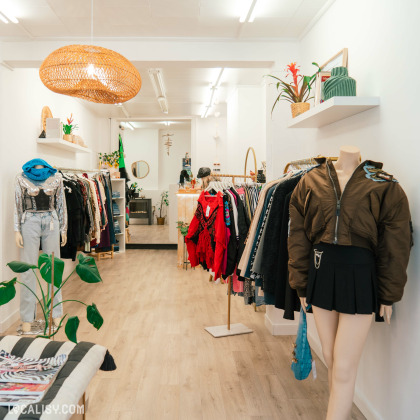 L’intérieur de la boutique "Holà Stasia" à Jemeppe. On y voit divers vêtements suspendus sur des cintres et des mannequins, ainsi que des accessoires comme des écharpes et des sacs. La décoration inclut des plantes en pot, un luminaire en osier et un sol en bois.