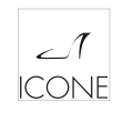 Logo Icone