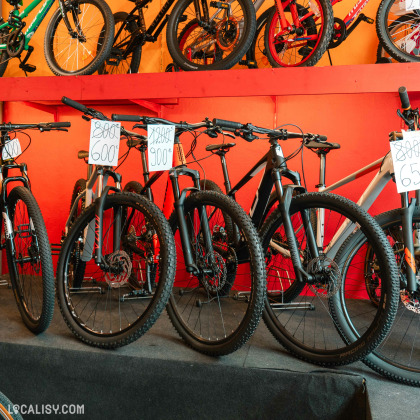 Une collection de vélos montés sur un présentoir mural dans le magasin de vélos Total Bike à Liège. Les vélos sont de différents styles, y compris des VTT, et sont disposés en motif vertical pour maximiser l’espace et l’esthétique.