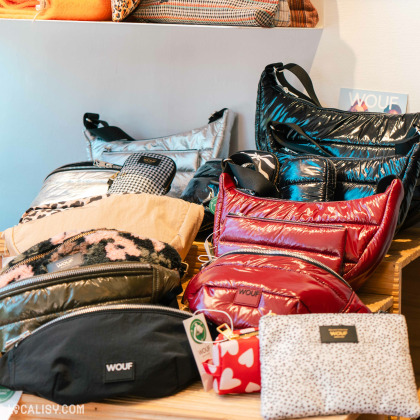 Collection de sacs et pochettes en tissu et matières brillantes, de différentes tailles et motifs, soigneusement exposés sur une table en bois dans la boutique ''Choisyr'' à Spa.