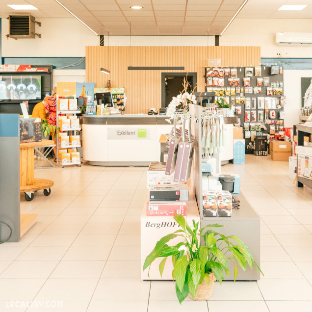 L'intérieur du magasin d'électroménager Schoofs Electro à Sprimont. On y voit un comptoir d'accueil avec le logo "Exellent" et divers produits exposés sur des étagères et des présentoirs. Il y a également une plante verte au premier plan et plusieurs articles accrochés ou posés sur des étagères, notamment des ustensiles de cuisine et des appareils électroniques.