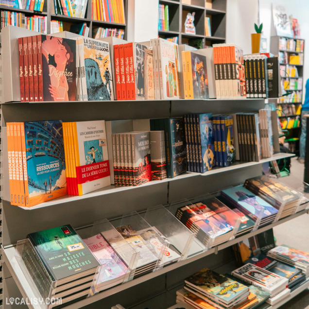 Des livres disposés sur deux niveaux de l'étagère, avec une variété de genres et de couvertures colorées à l'ntérieur de la librairie de bandes dessinées Kazabulles à Liège. Les titres visibles incluent Disgrâce, La Suprématie des Underboobs, Ressources, Les Cahiers d'Esther, Mollo sur le Ferrero, et d'autres. Les livres sont bien organisés et l'étagère est située dans un environnement de librairie avec d'autres étagères et livres en arrière-plan.