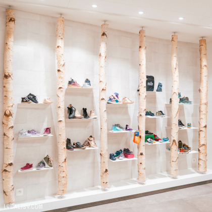 Des chaussures exposées sur des étagères blanches fixées à un mur clair dans le magasin de chaussures Maison Brüls à Malmedy. Des troncs d'arbres verticaux, utilisés comme éléments décoratifs, séparent les étagères. Les chaussures exposées sont de différents styles et couleurs, allant des baskets aux bottines. Une petite pancarte orange est accrochée à une des étagères. L'éclairage est doux et met en valeur les produits exposés.