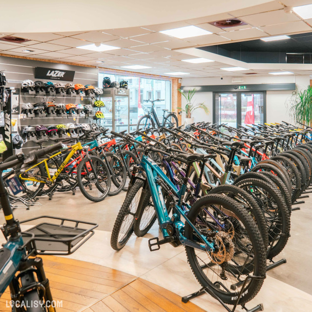 Une grande variété de vélos alignés en rangées, principalement des VTT (vélos tout-terrain) dans le magasin de vélo Velozophie à Welkenraedt. À gauche, il y a un mur avec des casques de vélo de différentes couleurs et marques, notamment la marque Lazer. Des plantes décoratives sont également visibles, ajoutant une touche de verdure à l'espace.