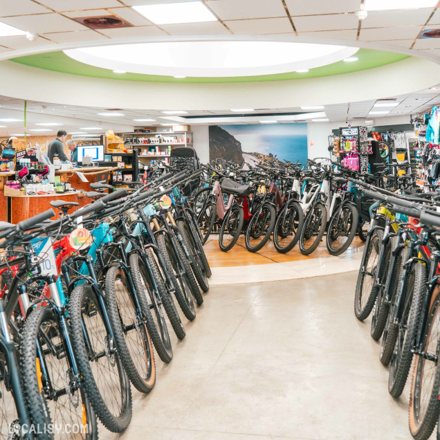 L'intérieur du magasin de vélo Velozophie à Welkenraedt, avec une rangée de vélos alignés de chaque côté d'une allée centrale, menant à un comptoir de caisse à l'arrière. Le magasin est bien éclairé avec un plafond circulaire et des lumières LED. À l'arrière-plan, il y a des étagères avec divers accessoires et produits pour vélos. Une grande photo murale d'un paysage côtier est visible derrière les vélos.