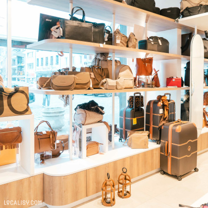 L'intérieur du magasin de maroquinerie La Bagagerie à Malmedy. On y voit des étagères remplies de divers sacs à main, sacs de voyage et valises. Les sacs sont de différentes tailles, formes et couleurs, principalement dans des tons neutres comme le beige, le marron et le noir.