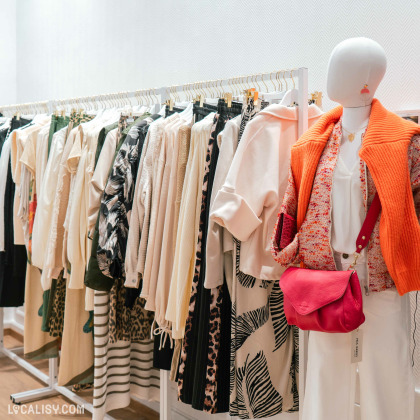 Une rangée de vêtements suspendus sur des cintres du magasin de vêtements pour femmes Esprit Vert à Heusy. À droite, un mannequin porte une tenue composée d'un pull orange, d'un sac à bandoulière rouge, et d'un pantalon blanc. Les vêtements sur les cintres incluent des motifs variés tels que des rayures, des imprimés animaliers, et des couleurs neutres. Le magasin semble bien organisé et propose une variété de styles.