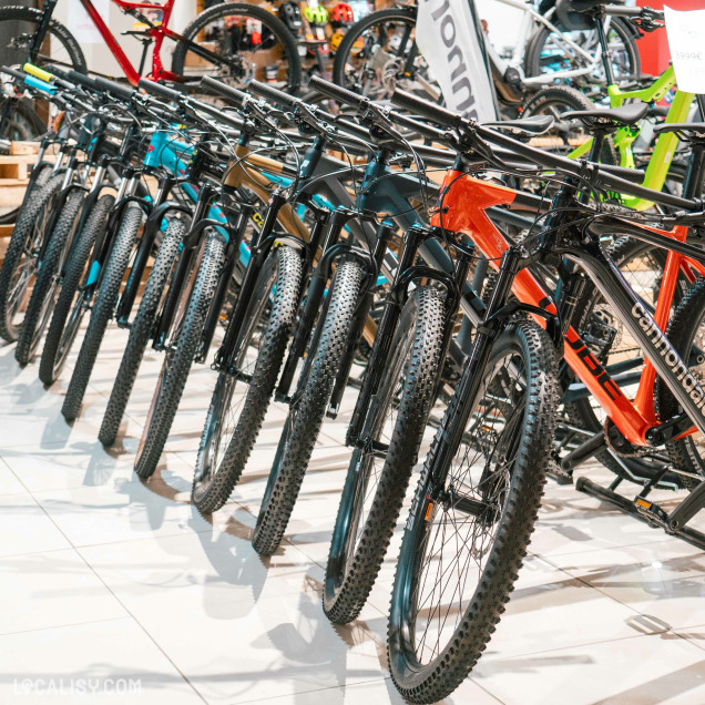 Rangée de vélos de montagne alignés dans le magasin, présentant des modèles colorés et modernes, avec des pneus tout-terrain.