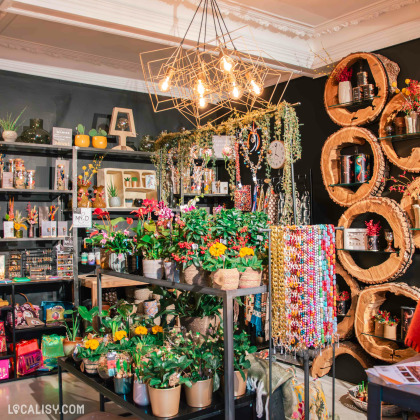 Espace végétal et décorations modernes chez L'Atelier des Fleurs à Stavelot.