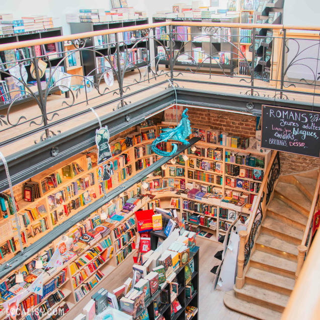 Vue plongeante sur l’intérieur de la librairie, révélant un espace en mezzanine. L’escalier en bois mène à un niveau inférieur rempli de livres. Un dragon suspendu en décoration ajoute une touche ludique à l’ambiance.